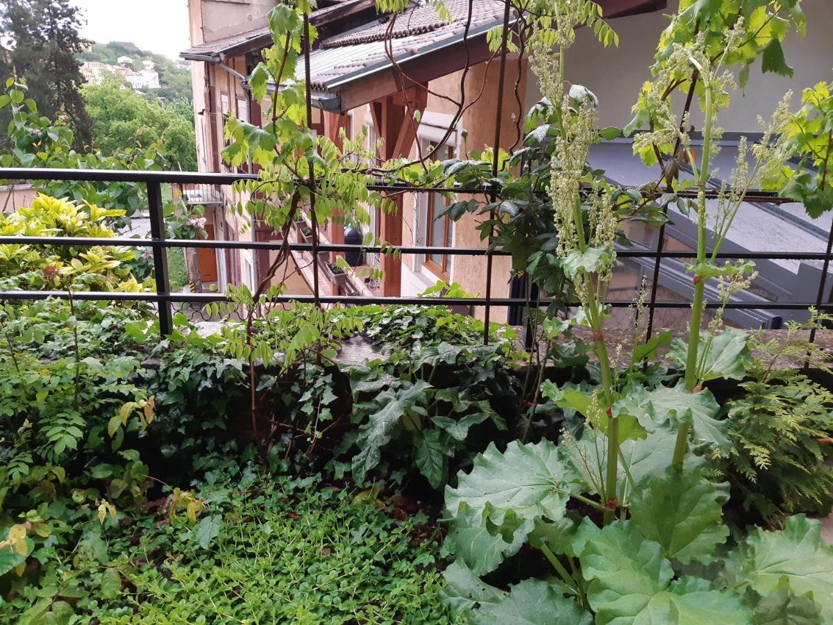 B&B J'Irais Dormir A Lyon Kültér fotó